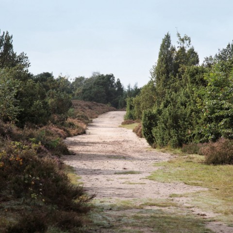 Omgeving